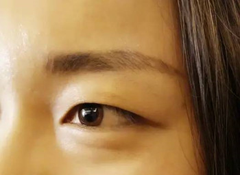 纹眉