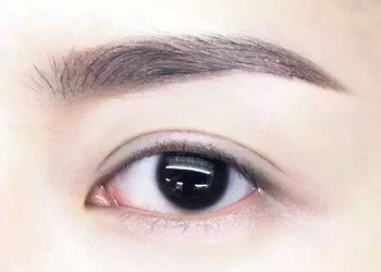 纹眉